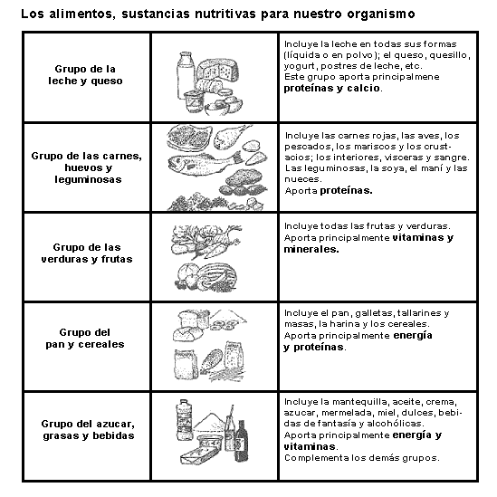 Esquema Con Los Grupos De Alimentos Y Sus Aportes Nutricionales