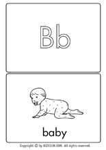 Flash Card B